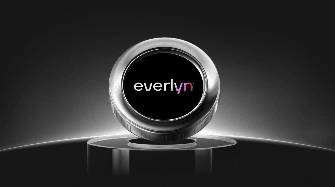 What is Everlyn AI (LYN) Coin?