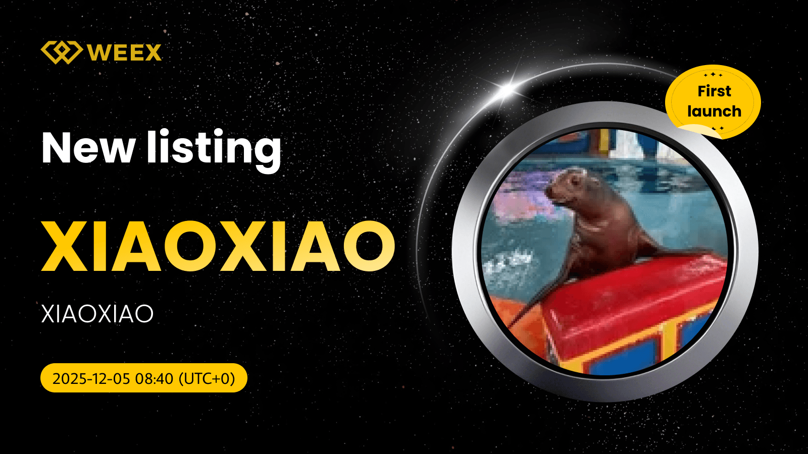 XIAOXIAO USDT Pair Live: XIAOXIAO Coin Listed on WEEX