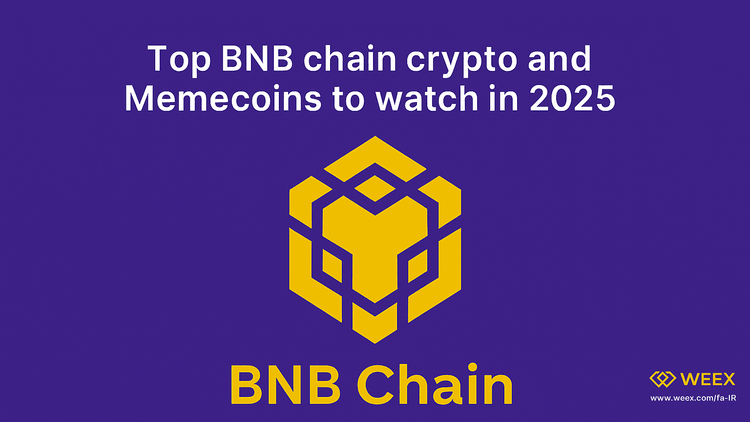 A Comprehensive Guide to the Top Cryptocurrencies and Meme Coins on the BNB Chain in 2025