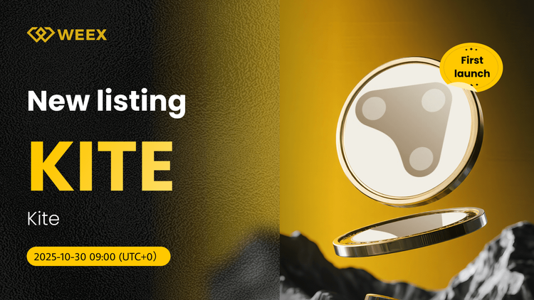 KITE USDT Spot Trading Launches on WEEX for Kite Coin